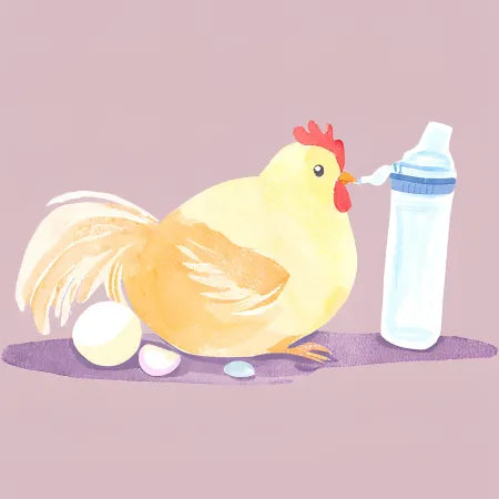 How Much Protein Is Enough for Healthy Ageing?
