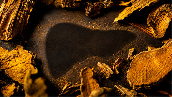 Close-up abstract photograph of golden botanical root texture with a subtle liver-shaped shadow, representing berberine's role in supporting liver health.