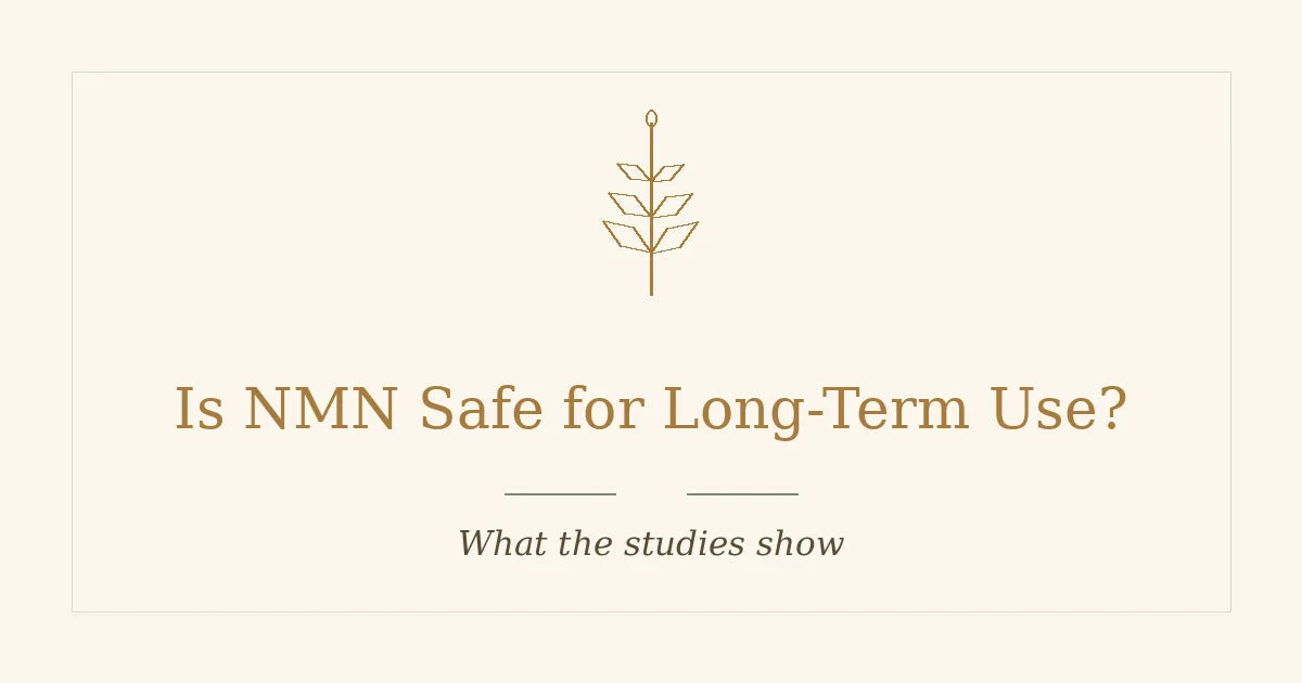 Is NMN Safe for Long-Term Use? What the Studies Show