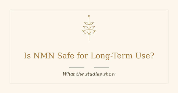 Is NMN Safe for Long-Term Use? What the Studies Show