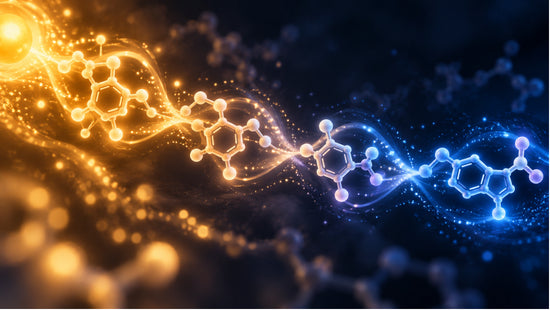 Animated-style melatonin-production visual, showing a clear golden-to-midnight-blue biological pathway with connected molecular forms and flowing light particles