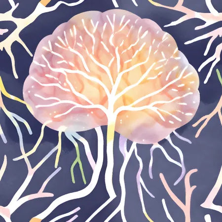 Neuroplasticity and Brain Health: How to Stay Sharp as You Age