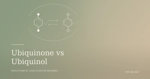 CoQ10: Ubiquinone vs Ubiquinol, Which Form Is Better Absorbed?