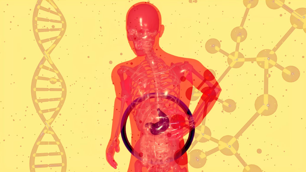 Gut Health & Digestion for Indians: A Complete Guide