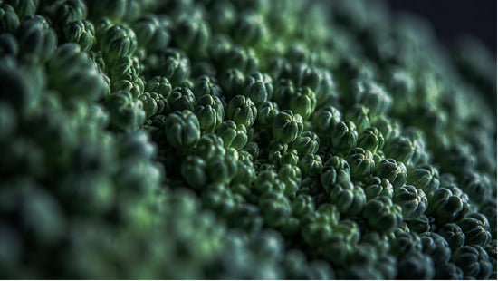 Extreme close-up abstract photograph of broccoli floret texture, representing a natural dietary source of NMN and its role in cellular energy.