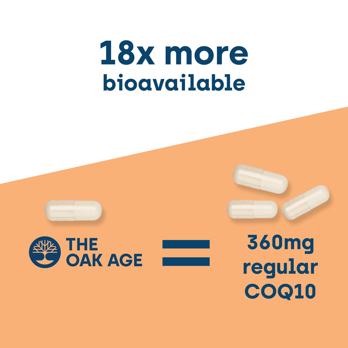 PCOS Bundle - With Berberine, Milk Thistle & CoQ10