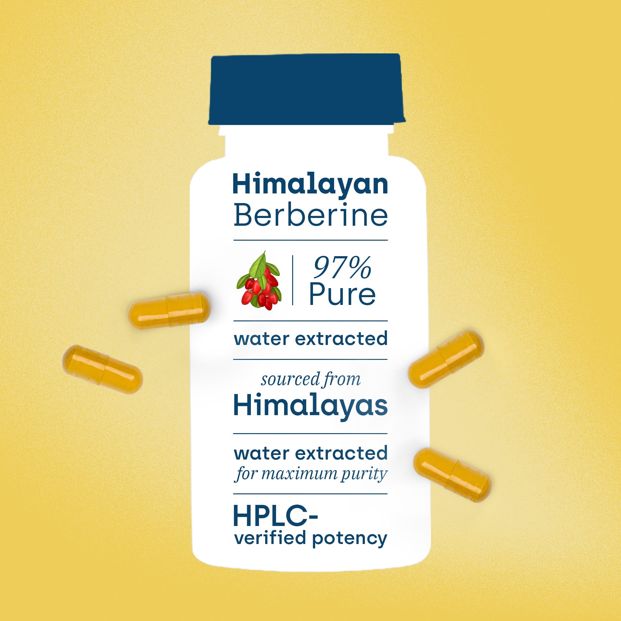 Himalayan Berberine composition and purity