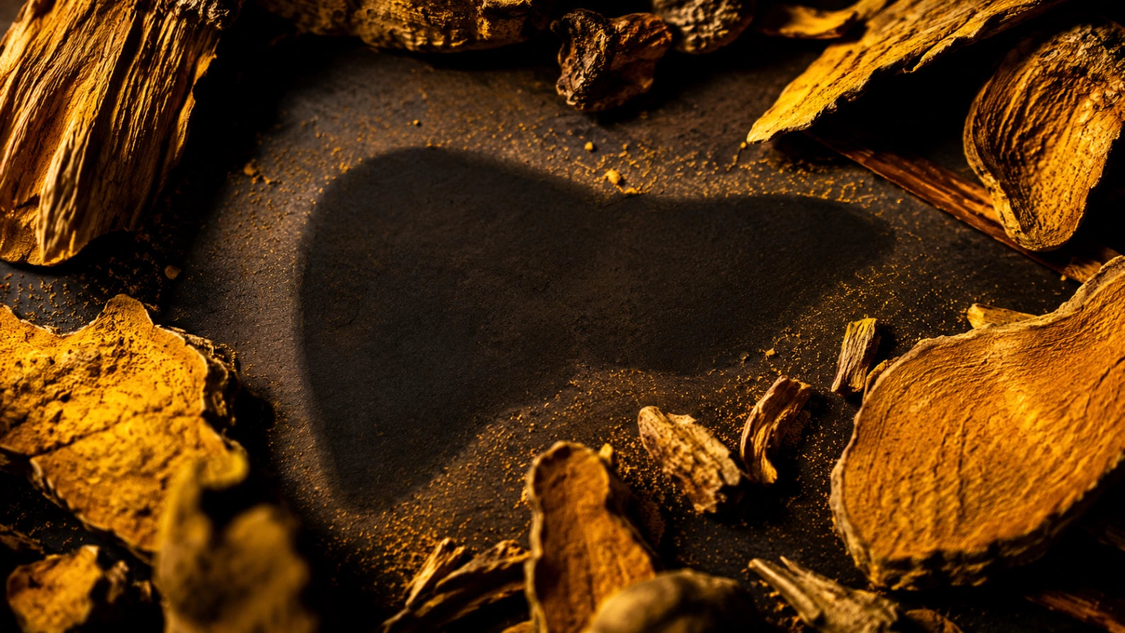 Close-up abstract photograph of golden botanical root texture with a subtle liver-shaped shadow, representing berberine