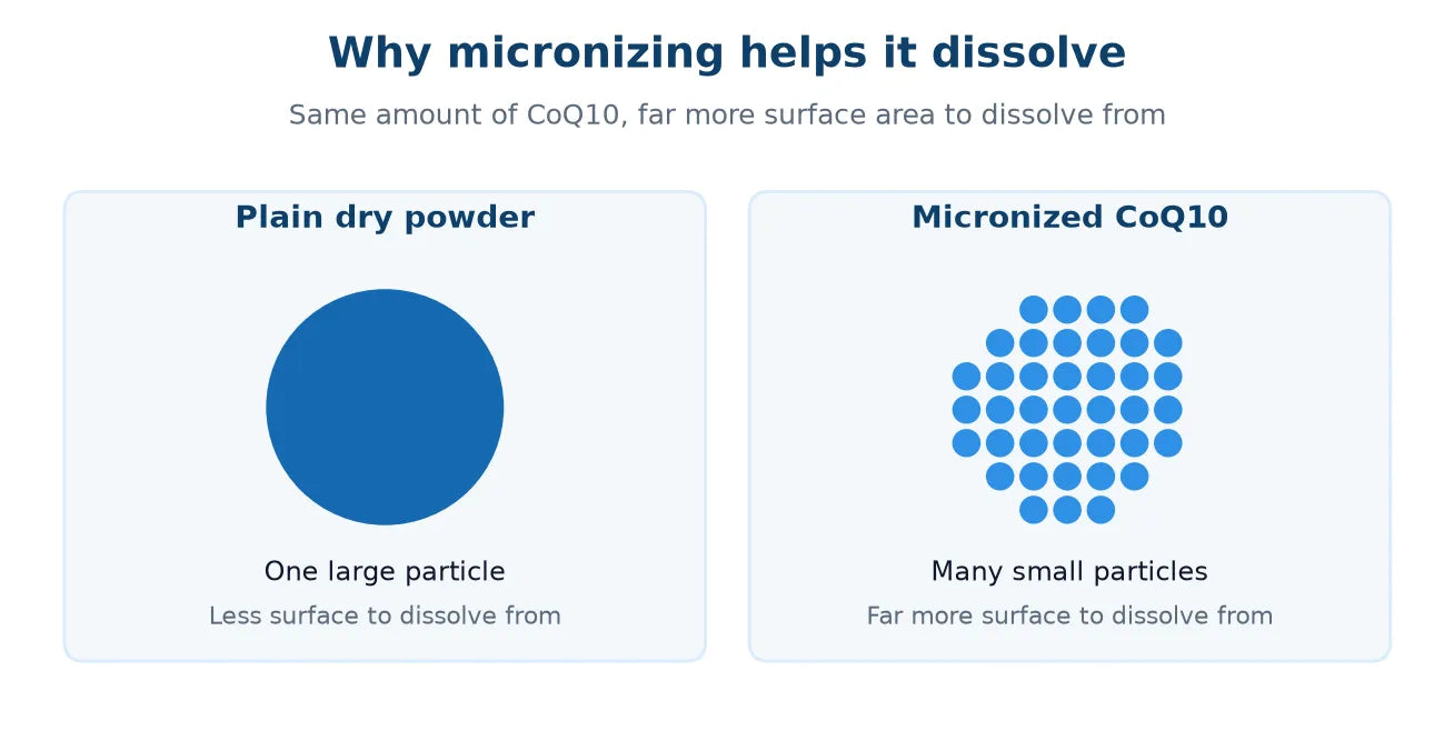 Two side-by-side panels comparing one large CoQ10 particle in plain dry powder with the same amount milled into many small particles, showing that micronizing creates far more surface area to dissolve from.