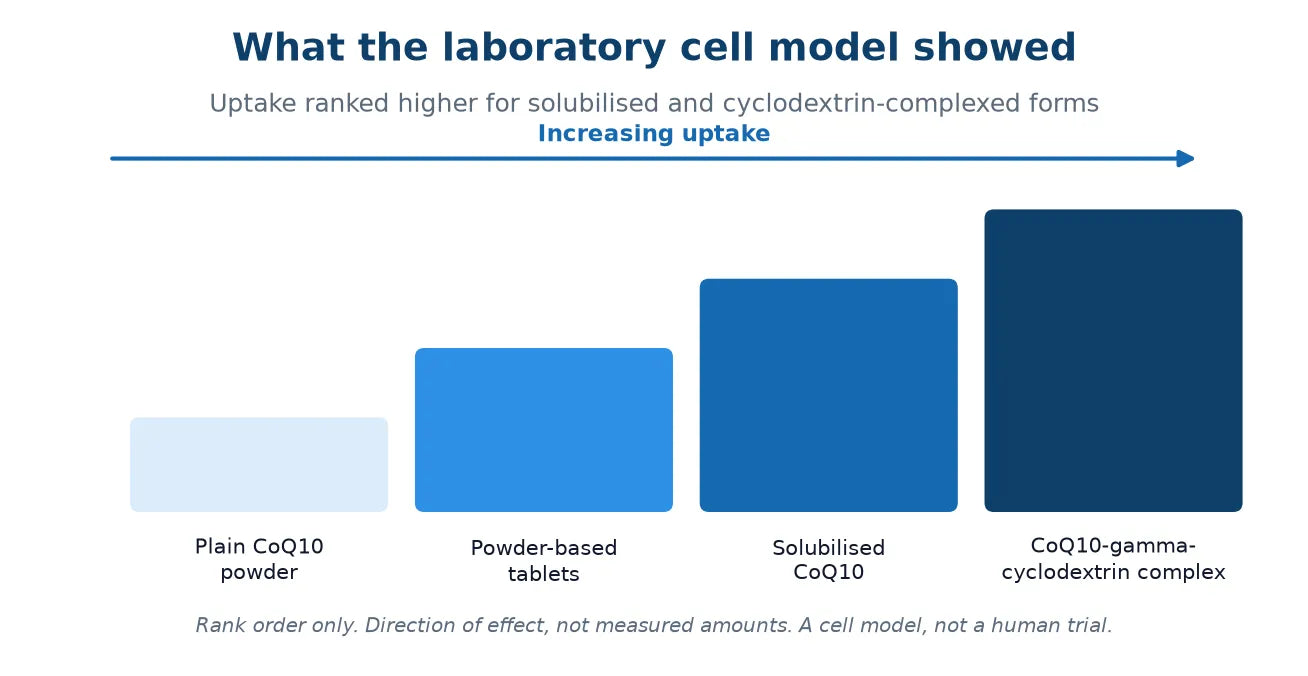 Ascending four-step ladder ranking uptake in a laboratory cell model, from plain CoQ10 powder and powder-based tablets up to solubilised CoQ10 and a CoQ10-gamma-cyclodextrin complex, labelled as a rank order and not measured amounts.