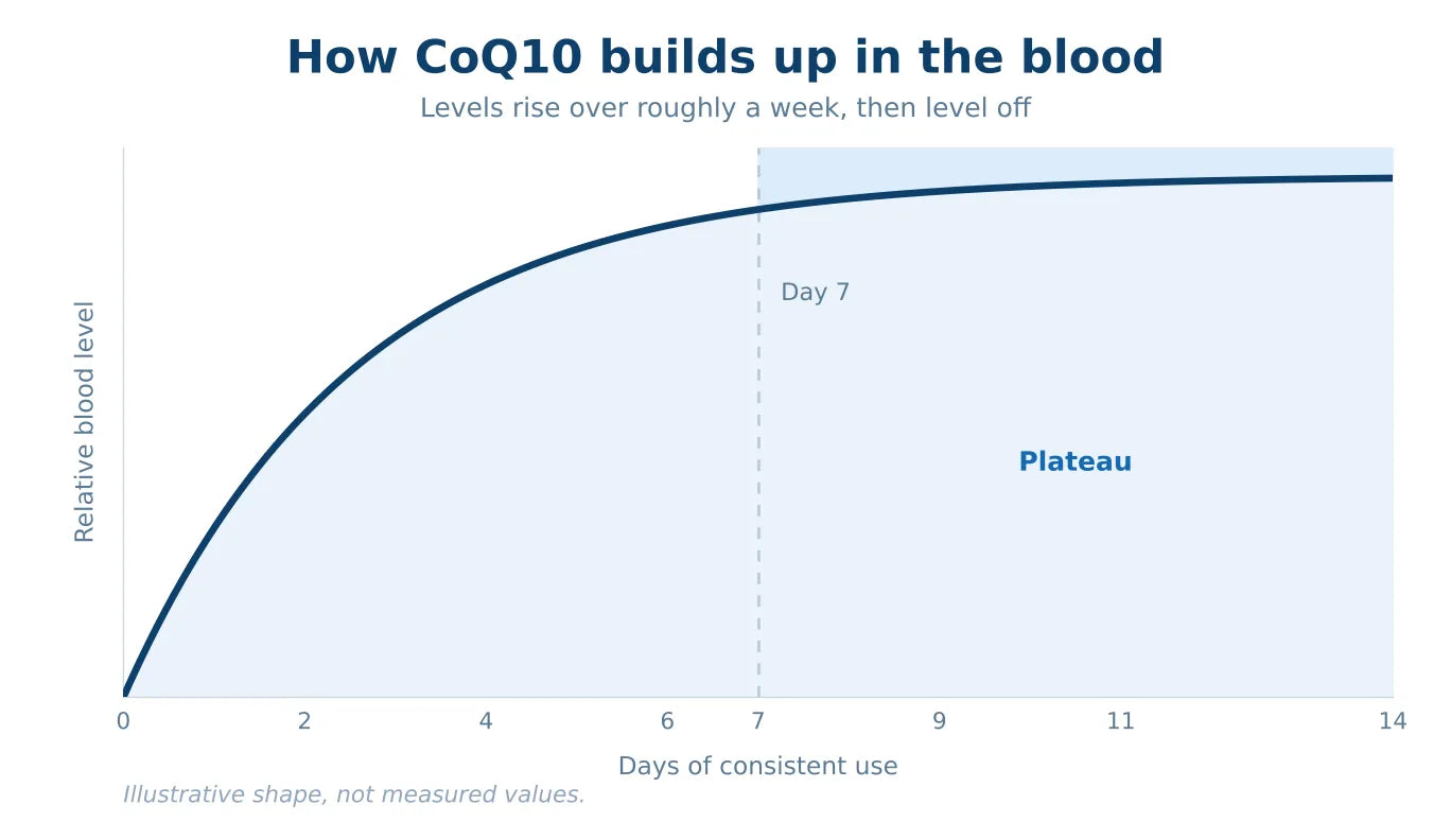 Line chart of relative blood levels over fourteen days of consistent use, rising over the first week and levelling off from about day seven onward.