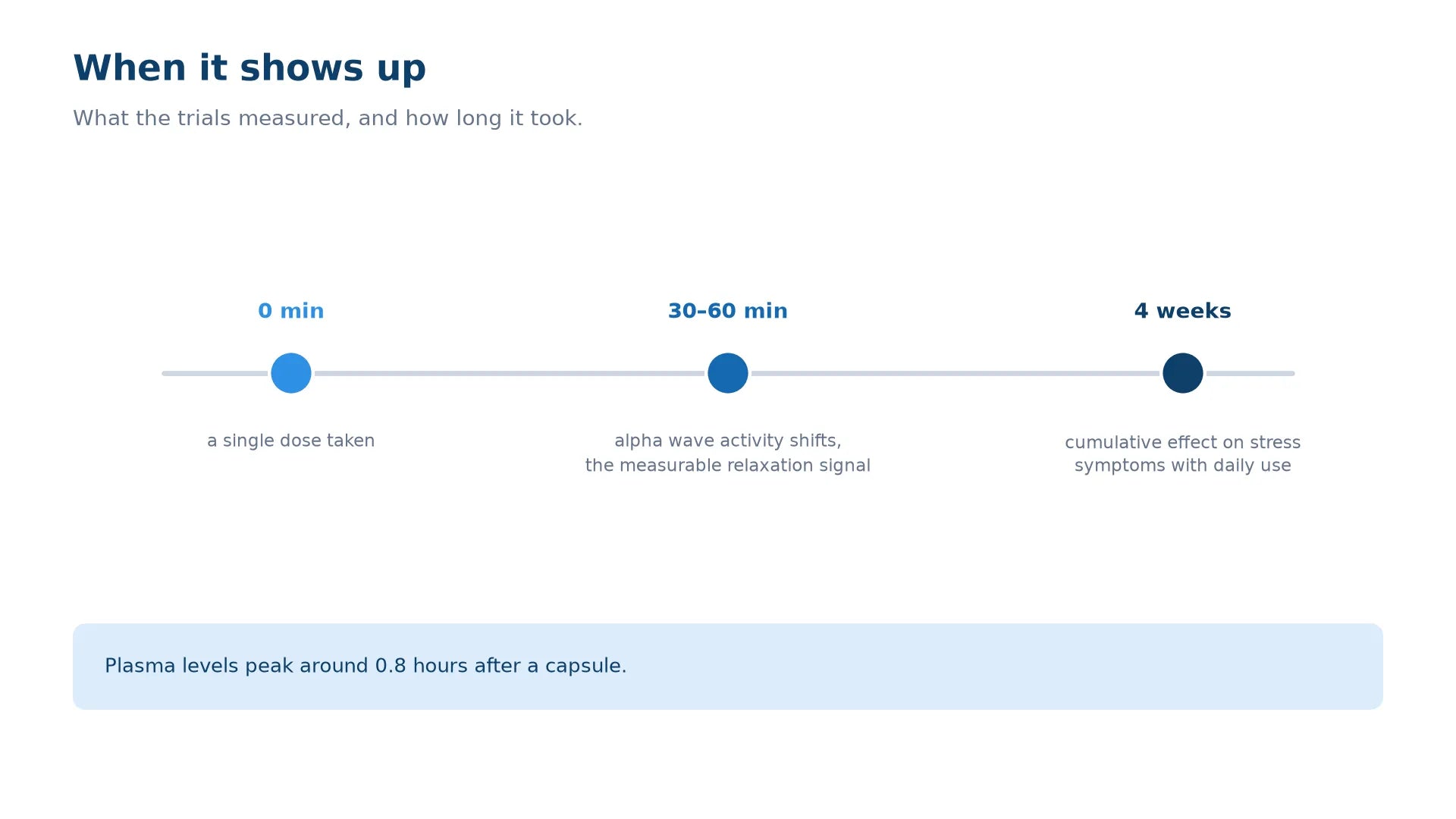 Timeline of when L-theanine effects appear: alpha wave activity shifts between 30 and 60 minutes after a single dose, and a four-week daily trial showed cumulative effects on stress symptoms.