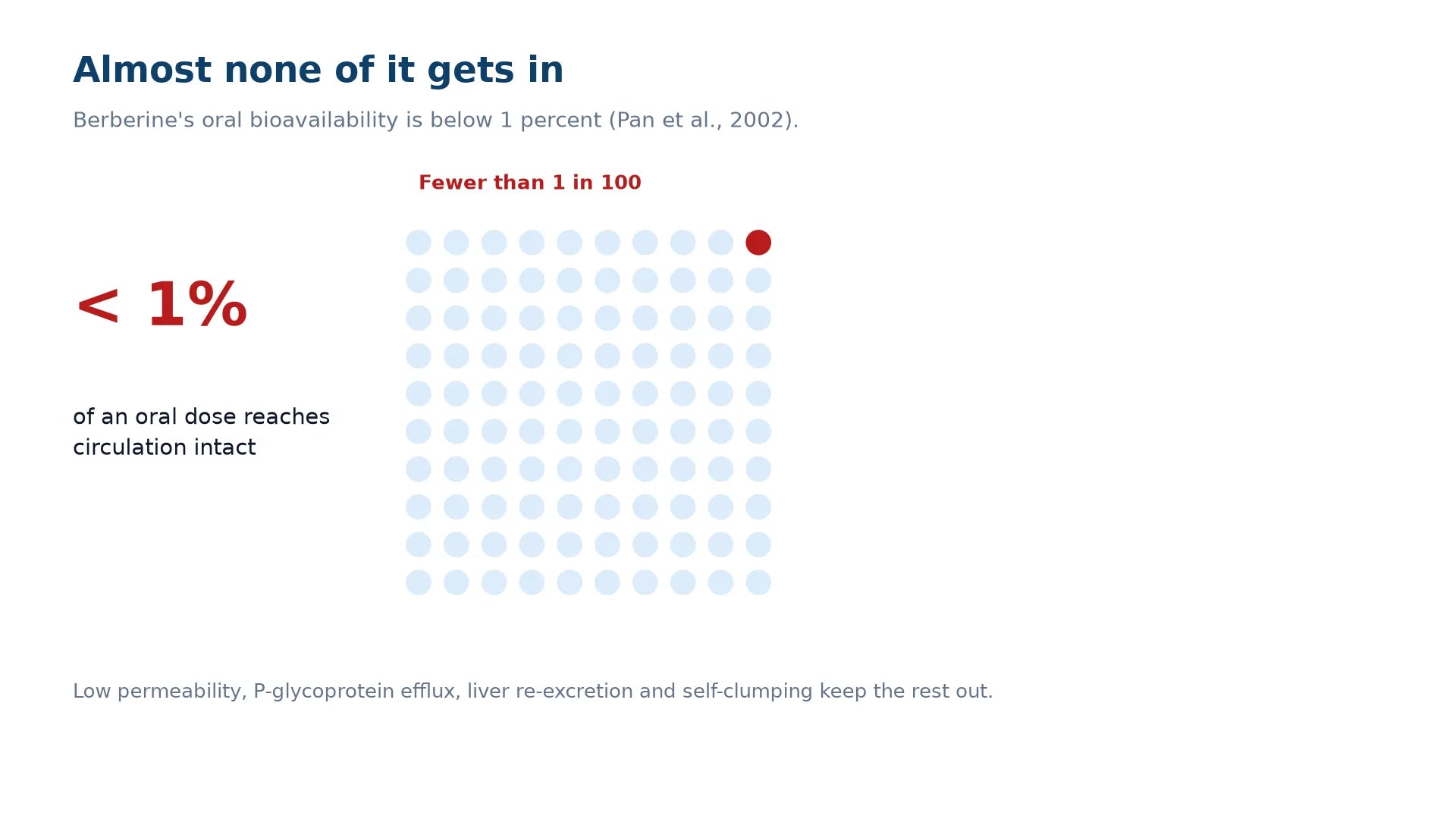 Graphic showing that fewer than 1 in 100 berberine molecules from an oral dose reach circulation intact.